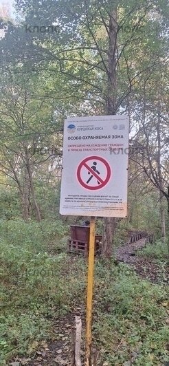 В Зеленоградске запретили гулять вблизи домов, прилегающих к нацпарку (фото)  - Новости Калининграда | Фото: «Клопс»