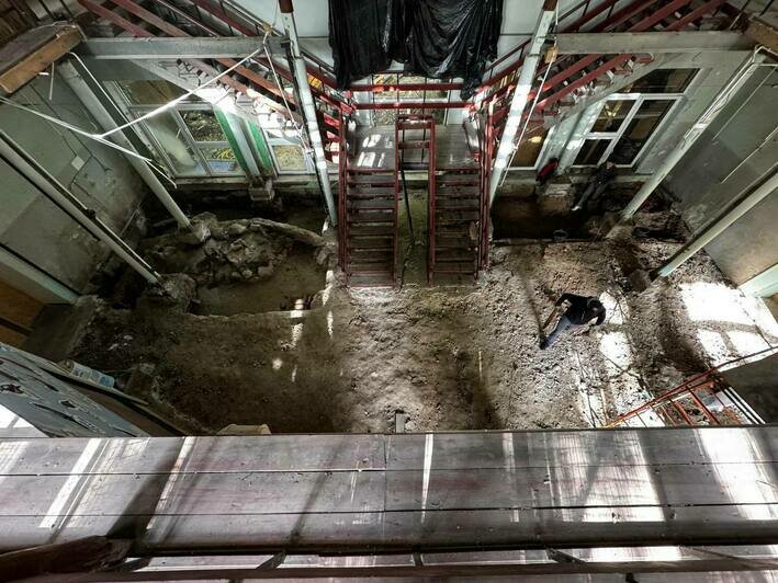 «Археологический раскоп древнего поселения». В зоопарке Калининграда делают основание под бассейны для крокодилов - Новости Калининграда | Фото: пресс-служба Калининградского зоопарка