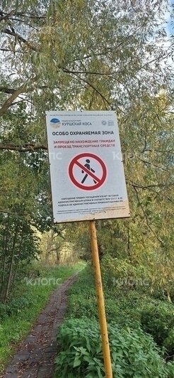 В Зеленоградске запретили гулять вблизи домов, прилегающих к нацпарку (фото)  - Новости Калининграда | Фото: «Клопс»