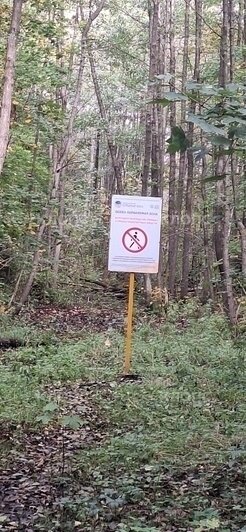 В Зеленоградске запретили гулять вблизи домов, прилегающих к нацпарку (фото)  - Новости Калининграда | Фото: «Клопс»