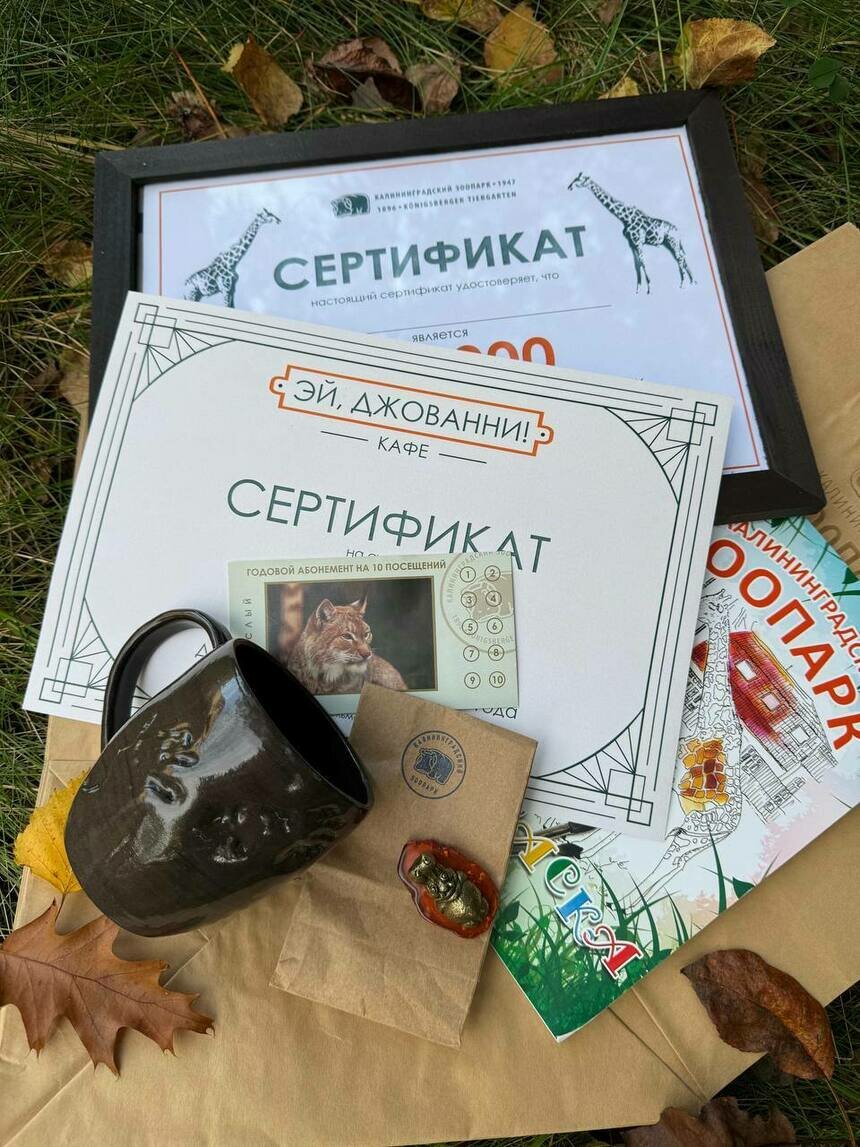 Какие подарки сможет получить счастливчик | Фото: зоопарк