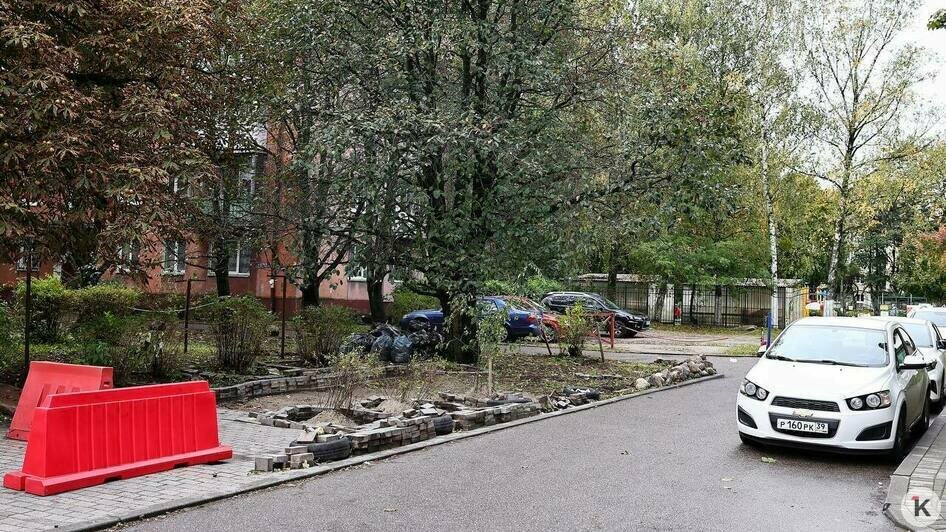 Клумба vs парковка. В центре Калининграда жители дома разобрали плитку и высадили в песок кусты (фото)   - Новости Калининграда | Фото: Александр Подгорчук / «Клопс»
