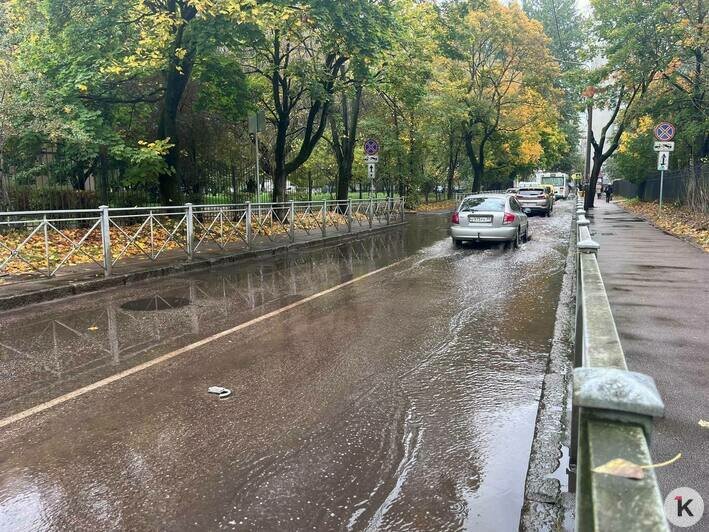 В Калининграде после дождя затопило Зелёную (фото) - Новости Калининграда | Фото: «Клопс»