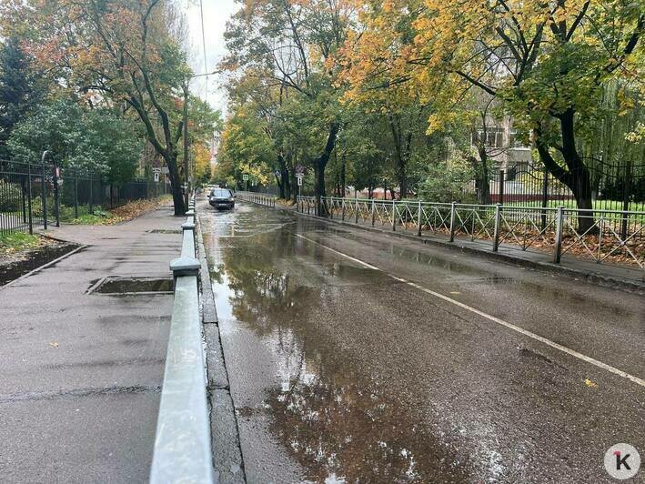 В Калининграде после дождя затопило Зелёную (фото) - Новости Калининграда | Фото: «Клопс»