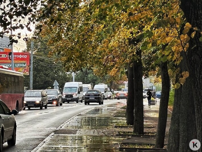 Калининградцы стонут от пробок на Дзержинского и винят во всём новые лежачие полицейские (фото) - Новости Калининграда | Фото: Александр Подгорчук / «Клопс»