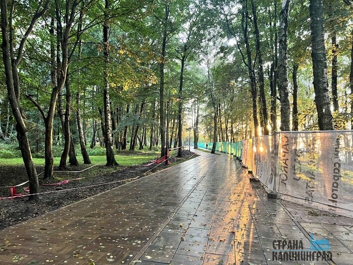 Работы должны завершить осенью | Фото: Оксана Сазонова
