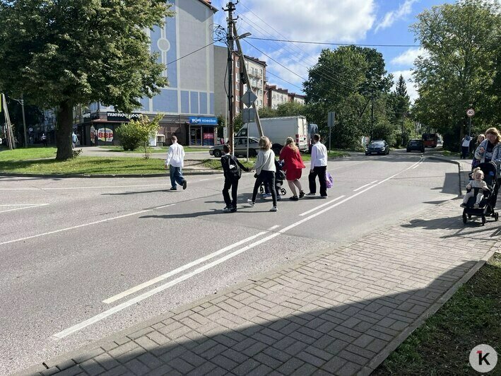 Остановки в Чкаловске способны довести до белого каления неподготовленных жителей других районов (фото) - Новости Калининграда | Фото: «Клопс»