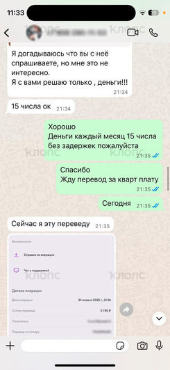 Переписки Анны с квартирантом.  | Скриншоты: Анна