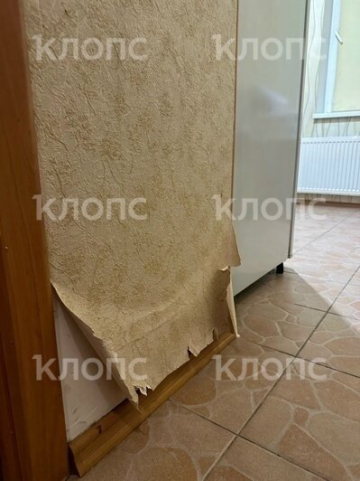 Ущерб, который квартиранты нанесли жилью. | Фото: Анна