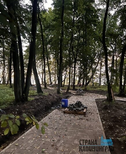 Работы должны завершить осенью | Фото: Оксана Сазонова