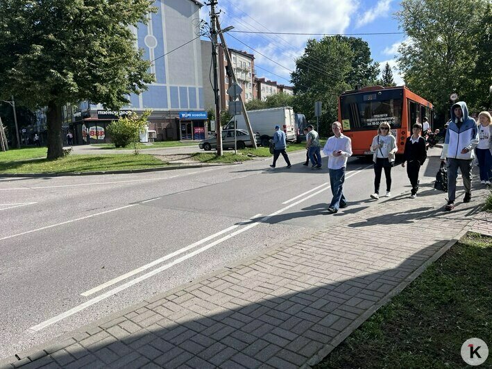 Остановки в Чкаловске способны довести до белого каления неподготовленных жителей других районов (фото) - Новости Калининграда | Фото: «Клопс»