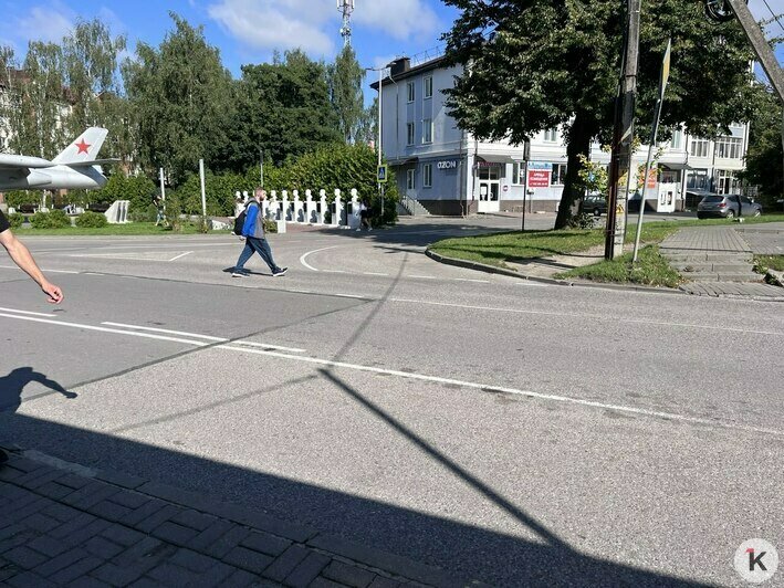 Остановки в Чкаловске способны довести до белого каления неподготовленных жителей других районов (фото) - Новости Калининграда | Фото: «Клопс»