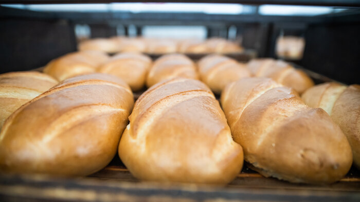 10 цитат русских классиков ко Дню хлеба - Новости Калининграда | Фото: архив «Клопс»