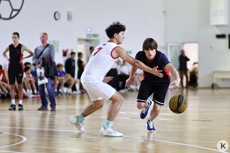 В Калининграде начался турнир по баскетболу среди школьников (фоторепортаж) - Новости Калининграда | Фото: Александр Подгорчук / «Клопс»