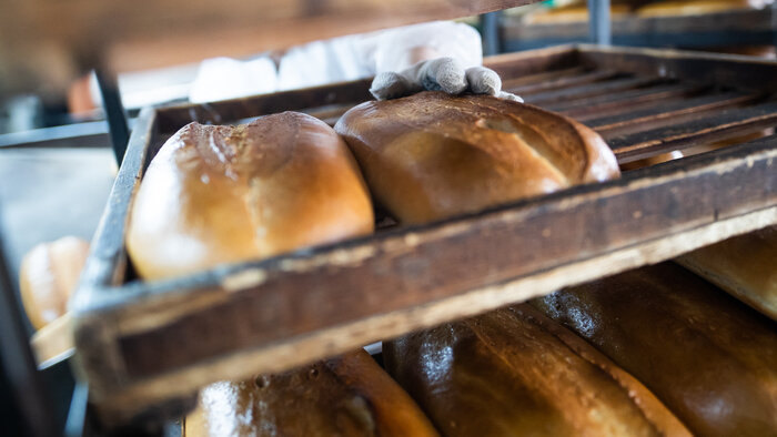 10 цитат русских классиков ко Дню хлеба - Новости Калининграда | Фото: архив «Клопс»