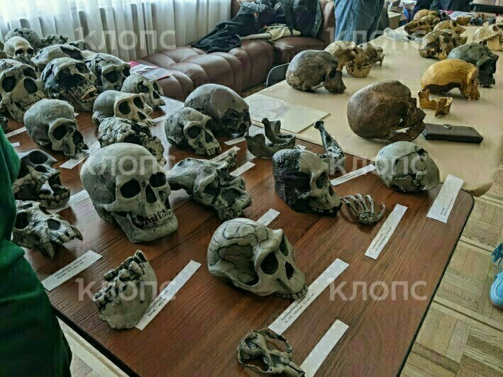 Грозит ли Балтике затопление в ближайшие годы обсудили в Москве климатологи - Новости Калининграда | Фото: «Клопс»