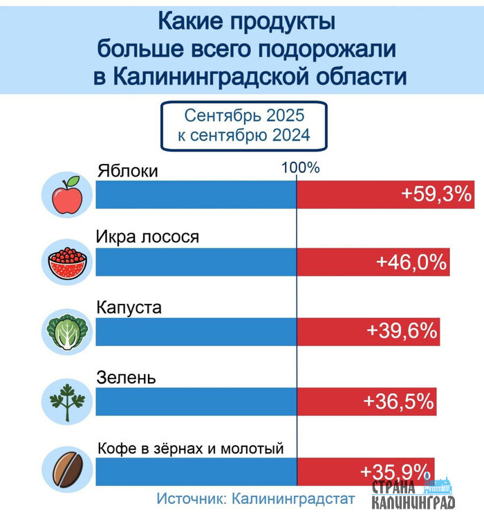 Источник: Калининградстат | Инфографика: Артем Пахоменко
