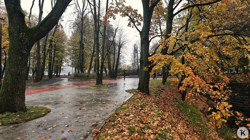 Днём снова пойдёт дождь. Погода в Калининграде и области в пятницу - Новости Калининграда | Фото: Александр Подгорчук / «Клопс»