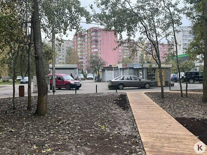 Первыми новый сквер на Острове облюбовали ночные пьянчуги, знающие толк в красоте (фото) - Новости Калининграда | Фото: «Клопс»
