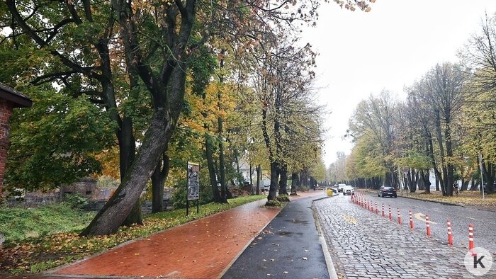 В Калининграде открыли первую часть сквера за башней Врангеля (фото) - Новости Калининграда | Фото: Александр Подгорчук / «Клопс»