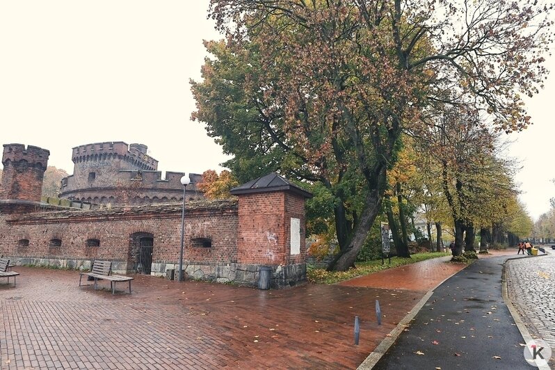 В Калининграде открыли первую часть сквера за башней Врангеля (фото) - Новости Калининграда | Фото: Александр Подгорчук / «Клопс»