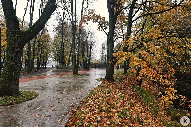 В Калининграде открыли первую часть сквера за башней Врангеля (фото) - Новости Калининграда | Фото: Александр Подгорчук / «Клопс»
