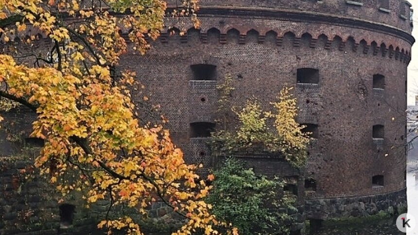 В Калининграде открыли первую часть сквера за башней Врангеля (фото) - Новости Калининграда | Фото: Александр Подгорчук / «Клопс»