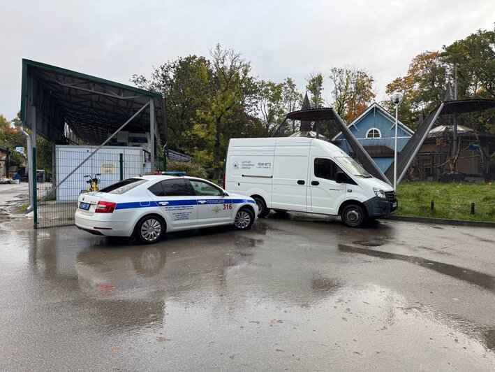 В Калининградском зоопарке впервые прошли учения по ликвидации очага бешенства  - Новости Калининграда | Фото: Калининградский зоопарк