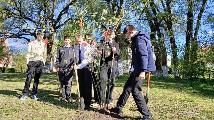 В этом году прошло больше тридцати субботников, включая акцию «Сад Памяти», посадки прошли по всей области  | Фото: пресс-служба министерства природных ресурсов и экологии КО 