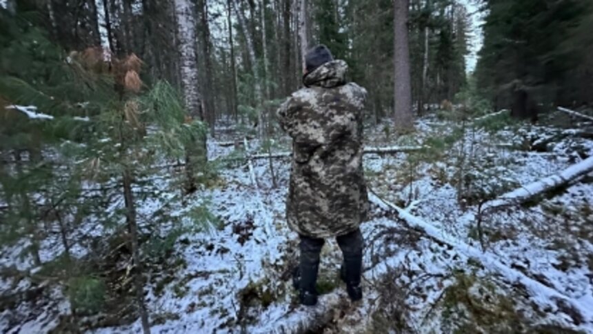 В Югре сборщик кедровых шишек застрелил коллегу, приняв того за медведя - Новости Калининграда | Фото: СУ СК Ханты-Мансийского автономного округа — Югры