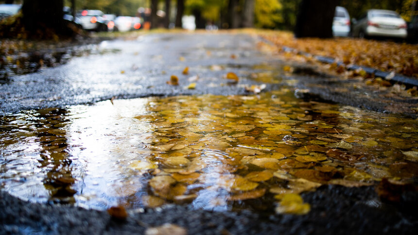 Вместо заморозков в Калининградскую область вернутся дожди - Новости Калининграда | Фото: Александр Подгорчук / Архив «Клопс»