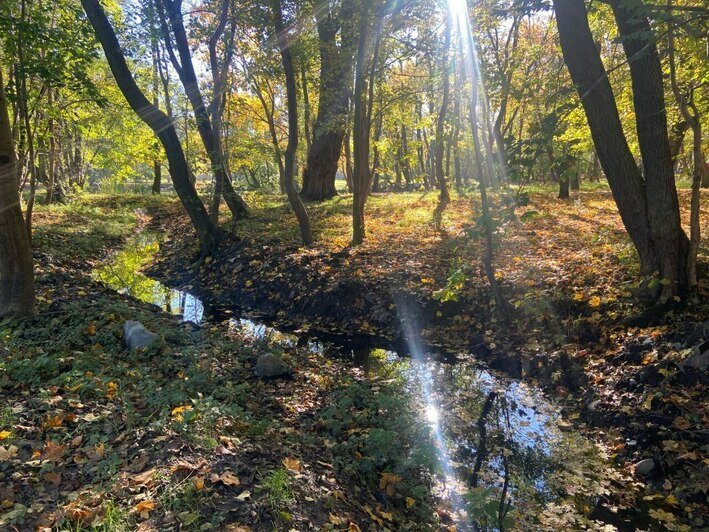 Исторический мелиоративный канал заполнен водой | Т. Буланенкова Исторический мелиоративный канал заполнен водой | Т. Буланенкова