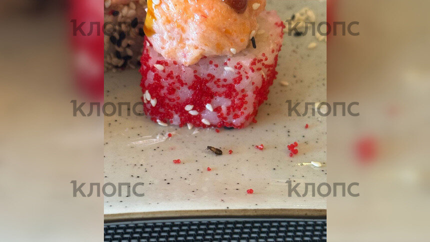 В калининградском суши-баре гостье подали роллы с тараканом (фото)   - Новости Калининграда | Фото: Кира