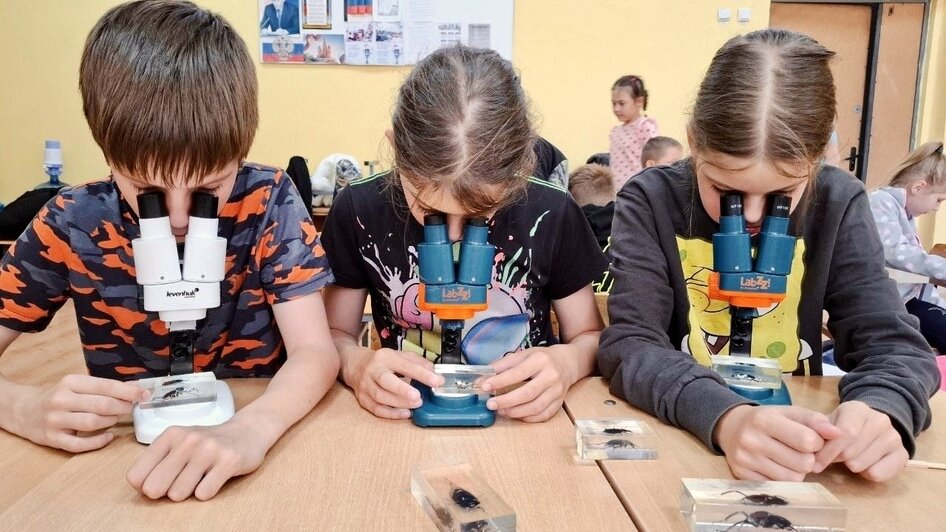 Калининградцам помогут вывезти крупногабаритные отходы | Фото: пресс-служба министерства природных ресурсов и экологии КО 