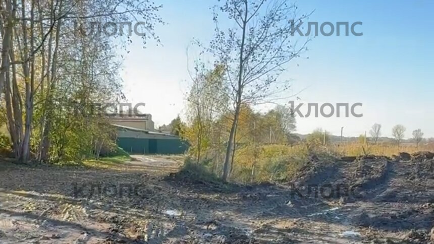 Песковозы убили дорогу к старому кладбищу в Цветково. Люди не могут навестить родные могилы (видео)   - Новости Калининграда | Фото: очевидец