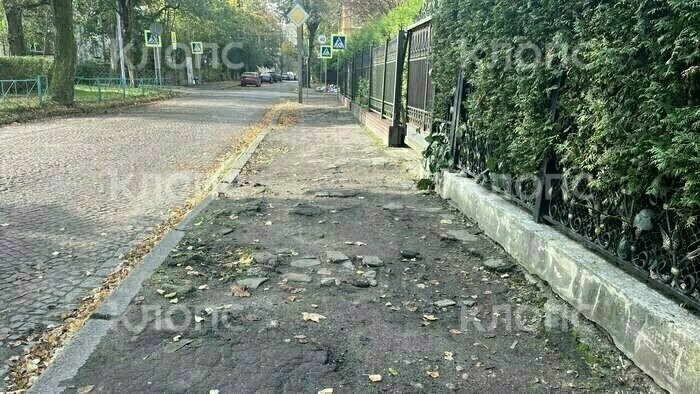 В Калининграде возле гимназии, где учился сбитый грузовиком школьник, установили ограждение (фото)  - Новости Калининграда | Фото: «Клопс»