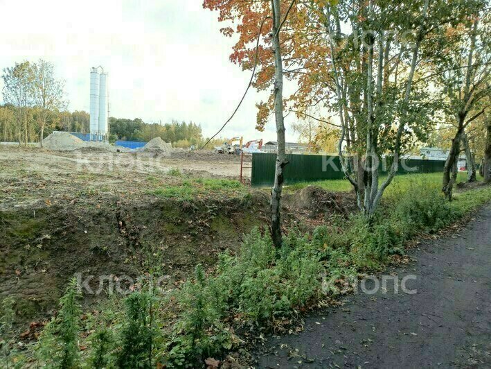 В Холмогоровке развернулось масштабное промышленное строительство, жители бьют тревогу (фото)    - Новости Калининграда | Фото: очевидцы