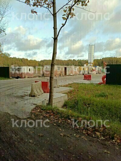В Холмогоровке развернулось масштабное промышленное строительство, жители бьют тревогу (фото)    - Новости Калининграда | Фото: очевидцы
