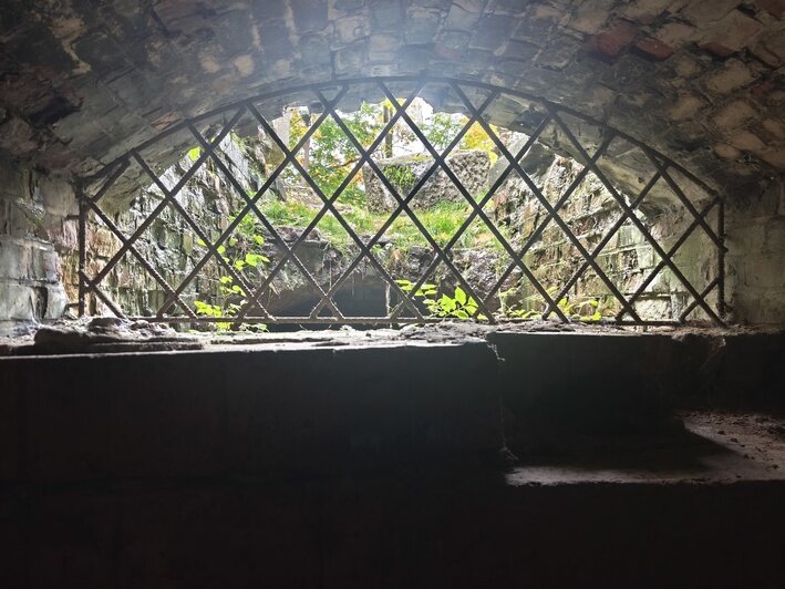 Турист из Москвы потратил 9 дней на Калининград, удивился числу музеев и назвал три полюбившихся блюда - Новости Калининграда | Фото: Владислав