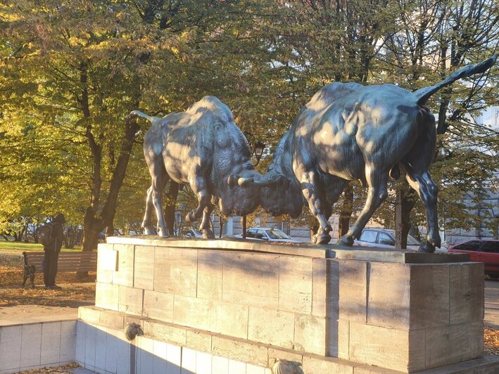 Турист из Москвы потратил 9 дней на Калининград, удивился числу музеев и назвал три полюбившихся блюда - Новости Калининграда | Фото: Владислав