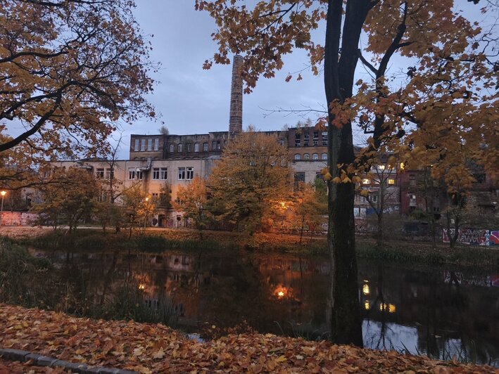 Вечерний осенний город | Фото: Владислав