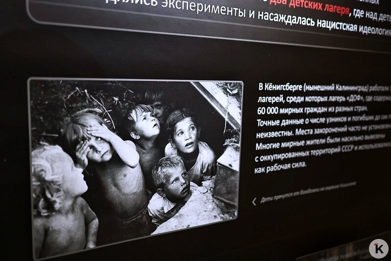 В Калининграде показали вещи узников концлагеря, находившегося на территории региона (фоторепортаж) - Новости Калининграда | Фото: Александр Подгорчук / «Клопс» В Калининграде показали вещи узников концлагеря, находившегося на территории региона (фоторепортаж) - Новости Калининграда | Фото: Александр Подгорчук / «Клопс»