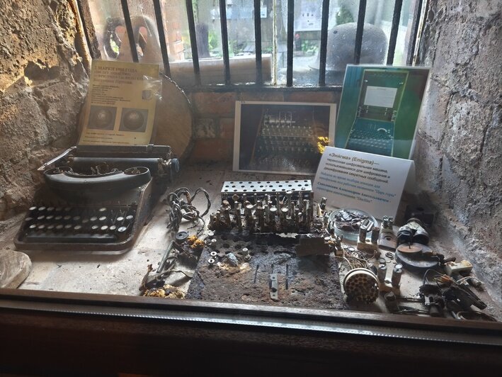 Турист из Москвы потратил 9 дней на Калининград, удивился числу музеев и назвал три полюбившихся блюда - Новости Калининграда | Фото: Владислав