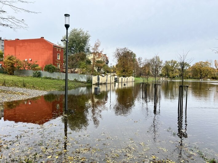 Под водой оказались мусорки, лавочки и другое благоустройство | Фото: Оксана Сазонова Под водой оказались мусорки, лавочки и другое благоустройство | Фото: Оксана Сазонова