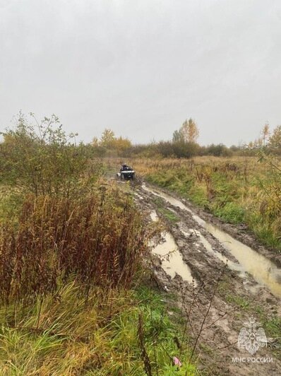 Под Правдинском спасатели вывели пожилую женщину из болота - Новости Калининграда | Фото: МЧС Под Правдинском спасатели вывели пожилую женщину из болота - Новости Калининграда | Фото: МЧС