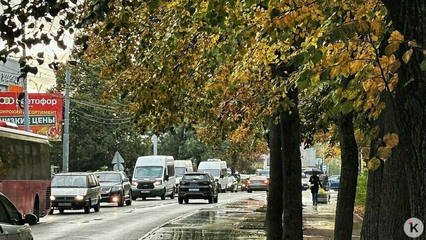 Дятлова заявила, что калининградцам придётся смириться с новыми лежачими полицейскими на Дзержинского - Новости Калининграда | Фото: «Клопс»