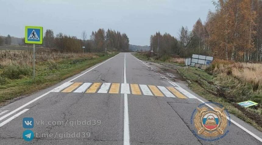 Под Краснознаменском легковушка сбила животное на трассе и снесла остановку - Новости Калининграда | Фото: Госавтоинспекция Калининградской области / Telegram Под Краснознаменском легковушка сбила животное на трассе и снесла остановку - Новости Калининграда | Фото: Госавтоинспекция Калининградской области / Telegram
