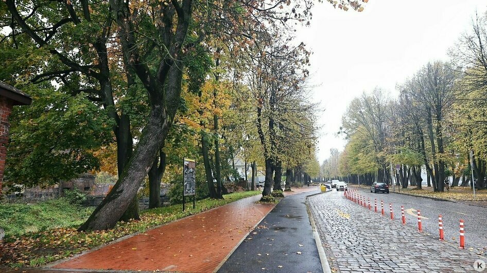 Появились скамейки, урны, фонари, новые кустарники Появились скамейки, урны, фонари, новые кустарники