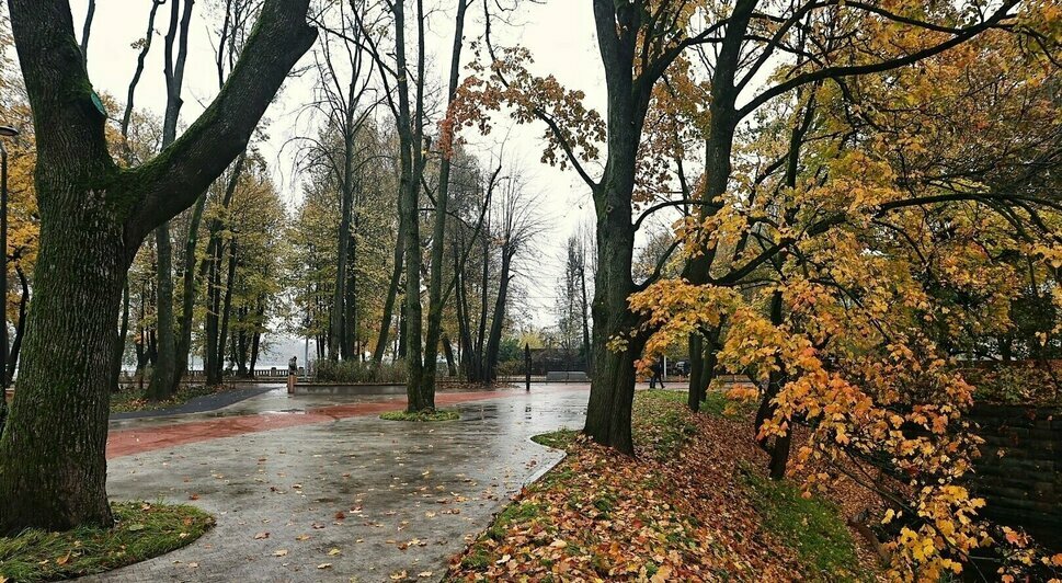 В Калининграде открыли первую часть сквера за башней Врангеля (фото) | Фото: Александр Подгорчук  В Калининграде открыли первую часть сквера за башней Врангеля (фото) | Фото: Александр Подгорчук