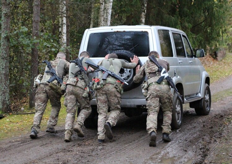 В Калининградской области спецподразделения выяснили, что из них «быстрее, выше, сильнее» (видео) - Новости Калининграда | Фото: пресс-служба Росгвардии В Калининградской области спецподразделения выяснили, что из них «быстрее, выше, сильнее» (видео) - Новости Калининграда | Фото: пресс-служба Росгвардии
